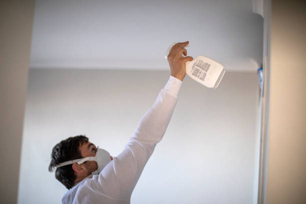 Best Attic Mold Removal  in Moultrie, GA