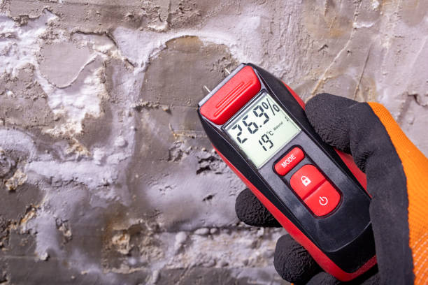 Best Office Mold Removal Services  in Moultrie, GA