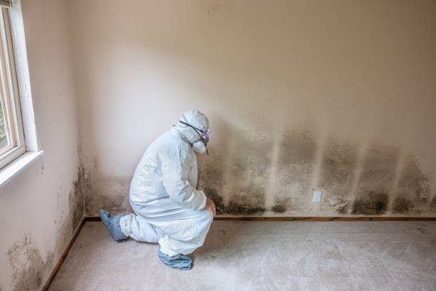 Best Home Mold Removal  in Moultrie, GA